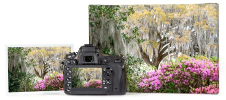 Fine Art Printing and Giclee Art Reproduction in Charleston, SC