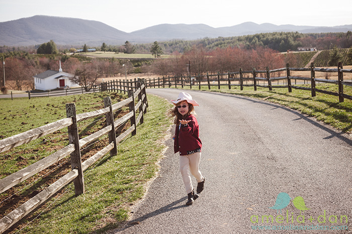 Windy Hill Farm, family farm, Sparta North Carolina, grass fed beef, Wedding photographer Charleston SC, modern vintage photography, amelia + dan, 843.801.2790, ameliaanddan.com